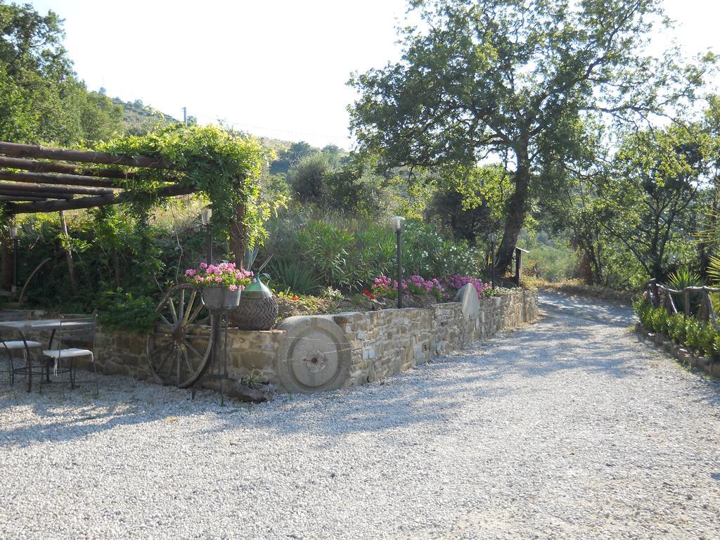 Bed and Breakfast Casale San Martino Laureana Cilento Exteriér fotografie