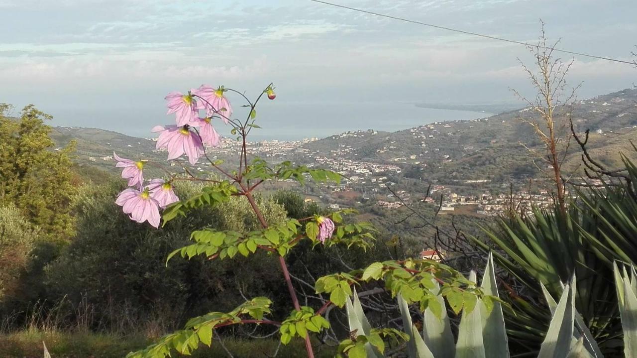 Bed and Breakfast Casale San Martino Laureana Cilento Exteriér fotografie