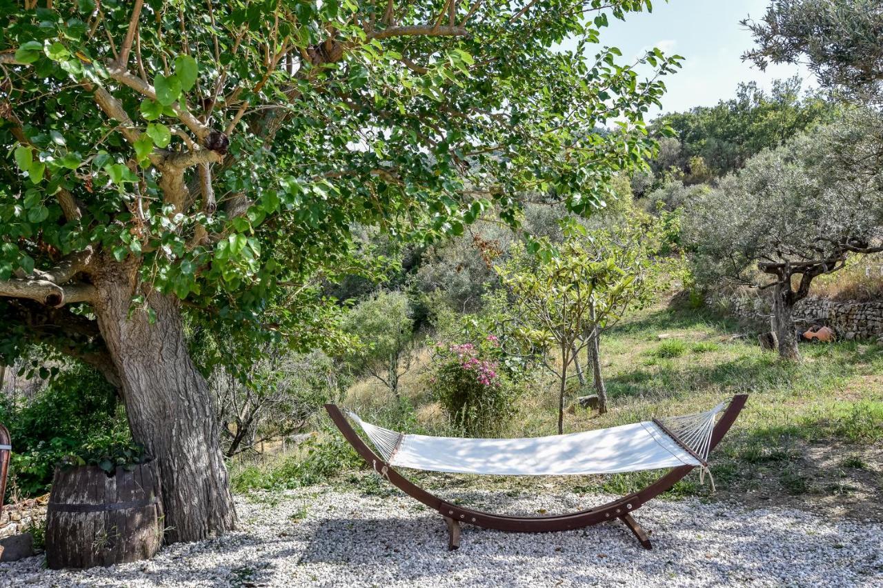 Bed and Breakfast Casale San Martino Laureana Cilento Exteriér fotografie